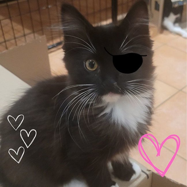 Photo of 💕 Monica Gellar 💕