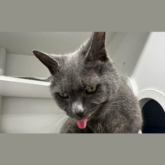 Photo of Marge