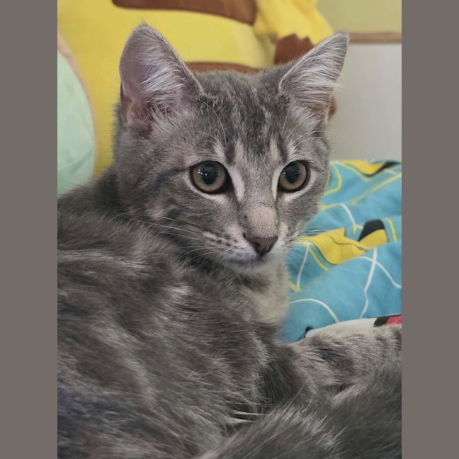 Photo of Sooty