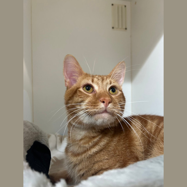 Photo of Sammy