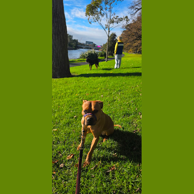 Photo of Maya