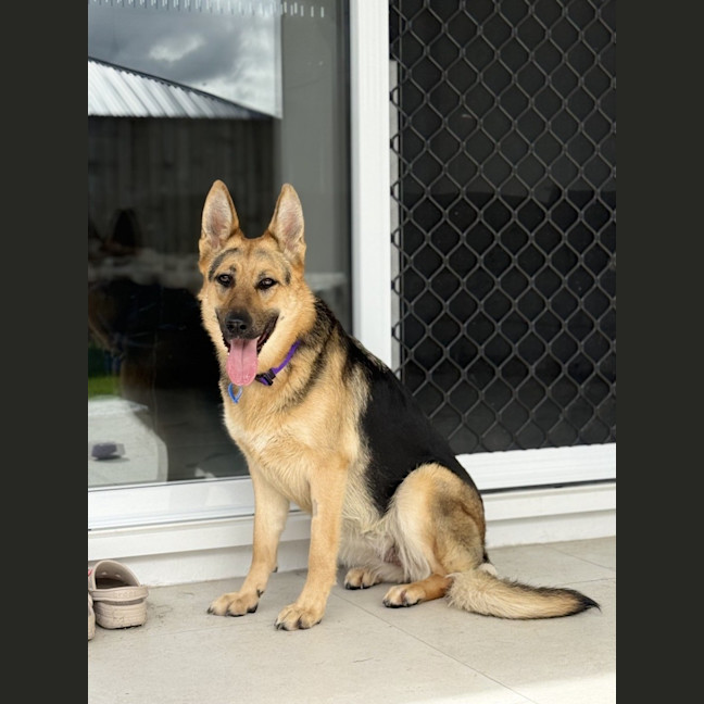 Photo of Darla