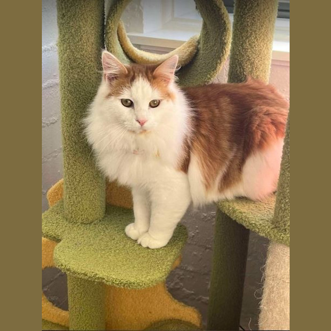 Photo of Cedric