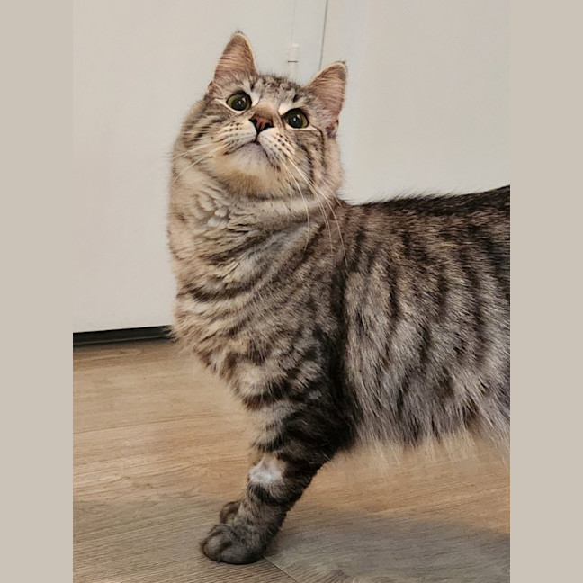 Photo of Sylvia