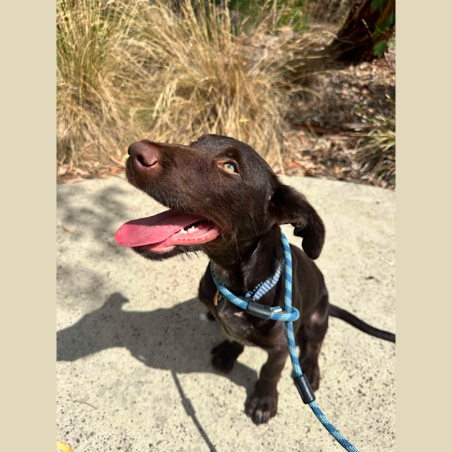 Photo of 🥯 Bagel 5769 🥯