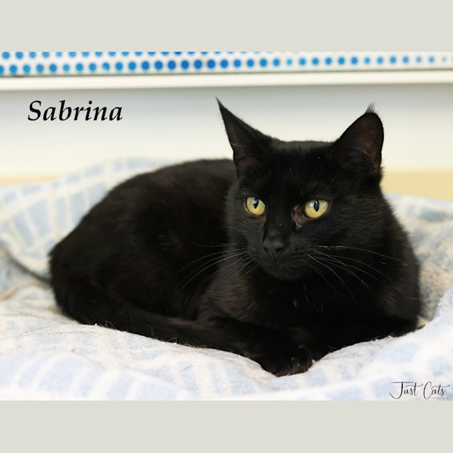 Photo of Sabrina