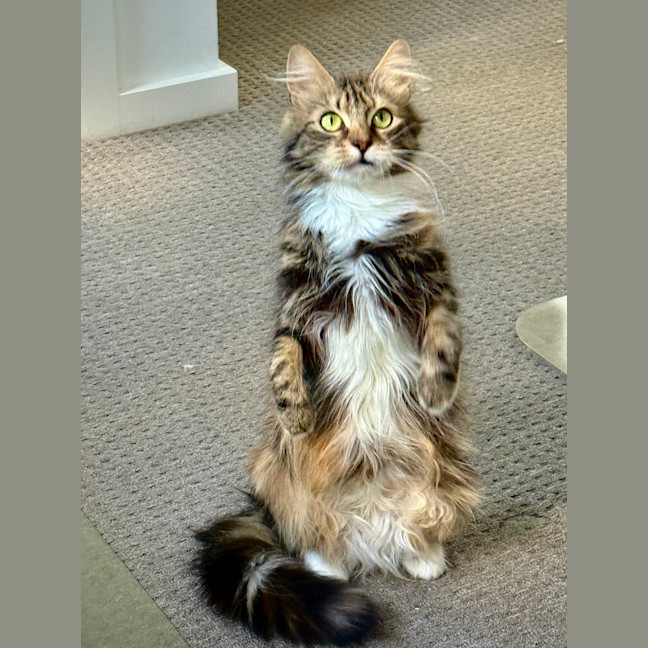 Photo of Zara
