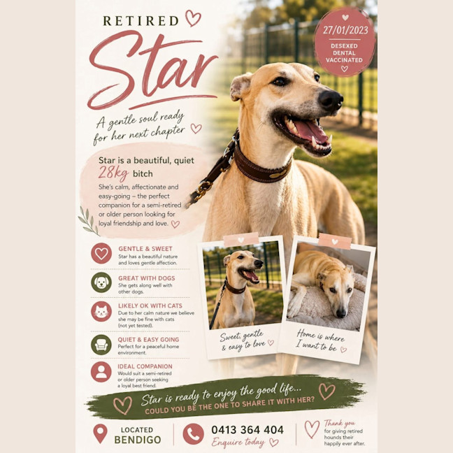 Photo of Star