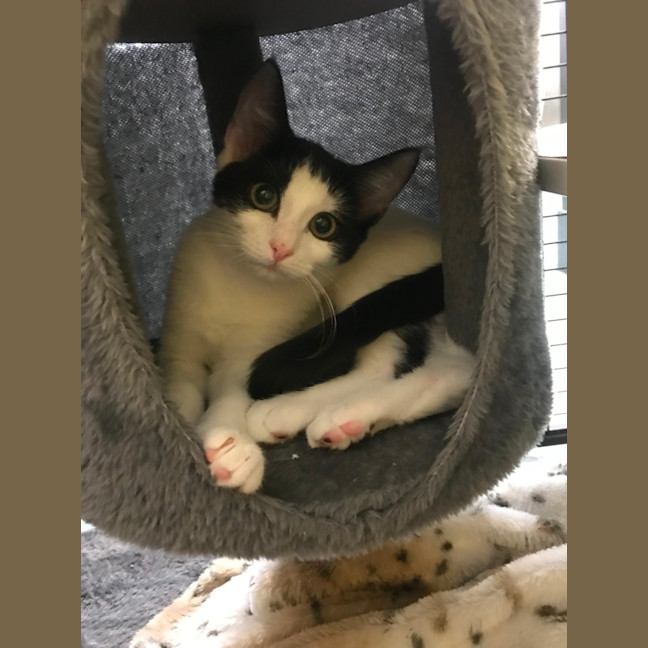 Photo of Mickey And Snow White