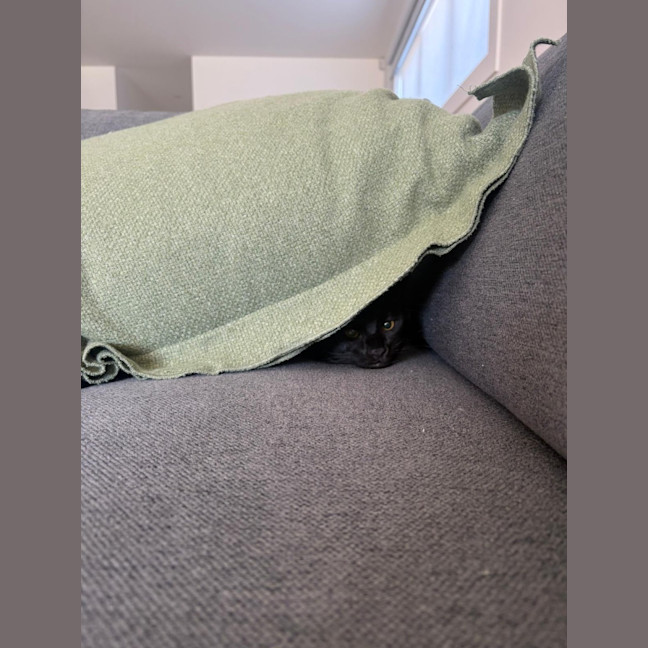 Photo of Cash