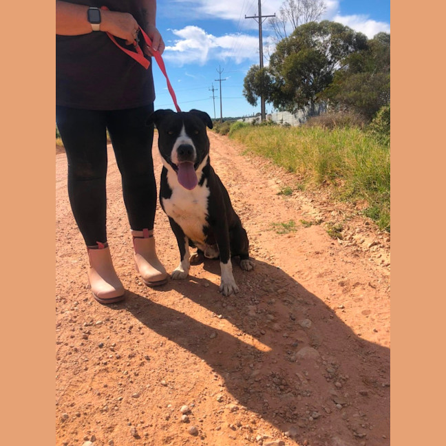 Photo of Ace