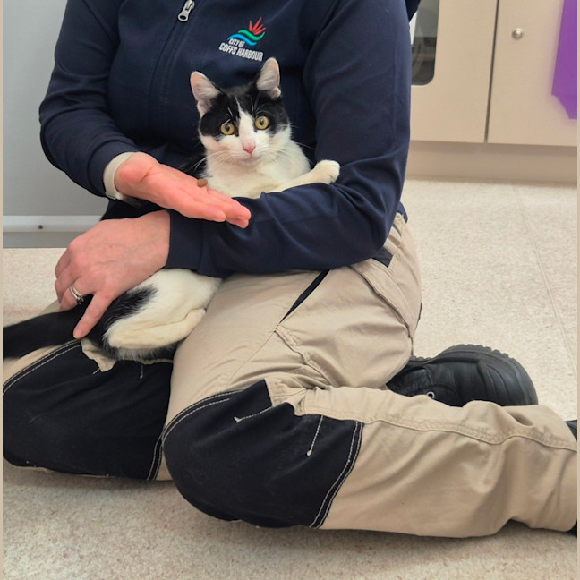 Photo of Gadget (0196)