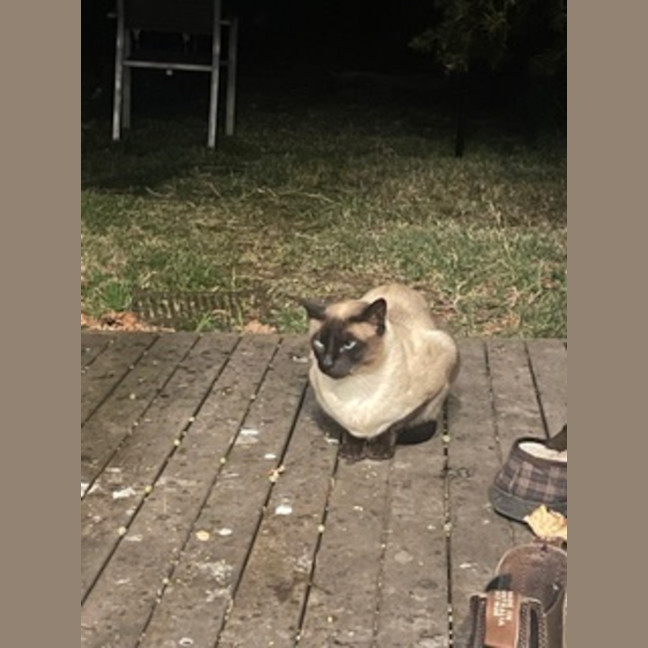 Photo of Mikki & Monty