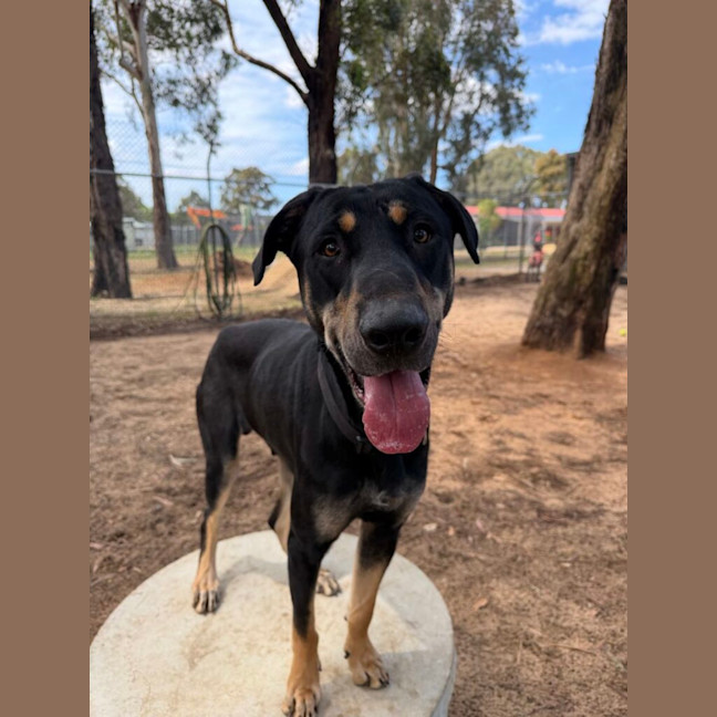 Photo of Duke