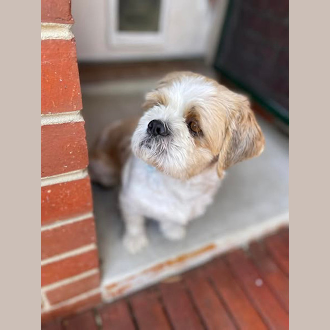 Photo of Hunter