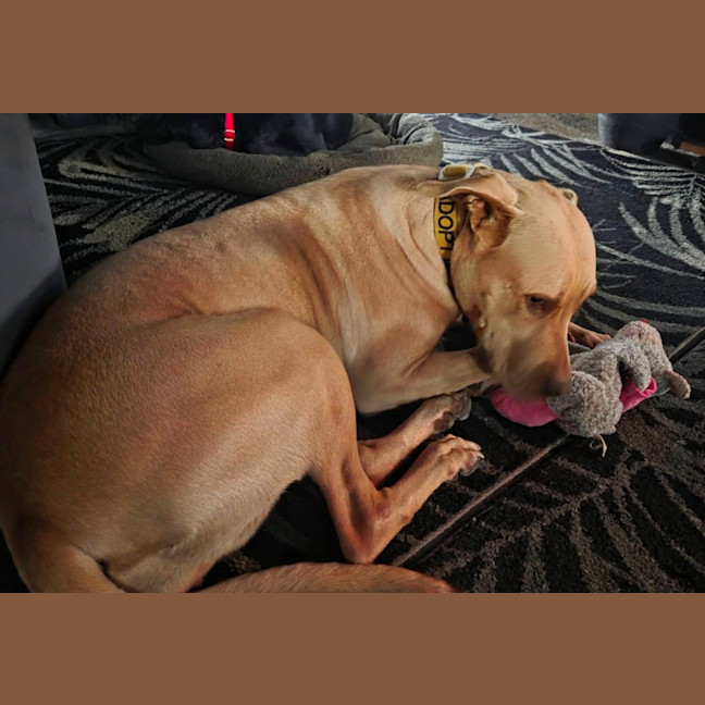 Photo of Sheila