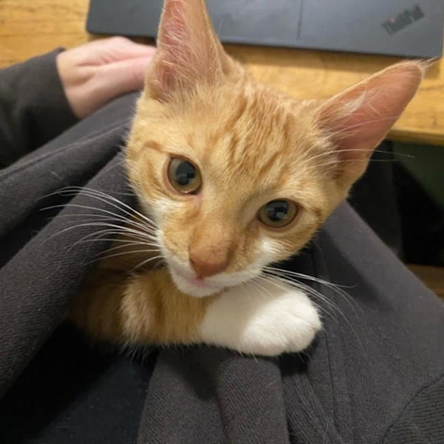 Photo of Benji And Thor