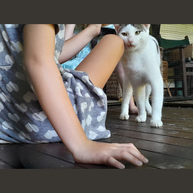 Photo of Mr Waffleton 