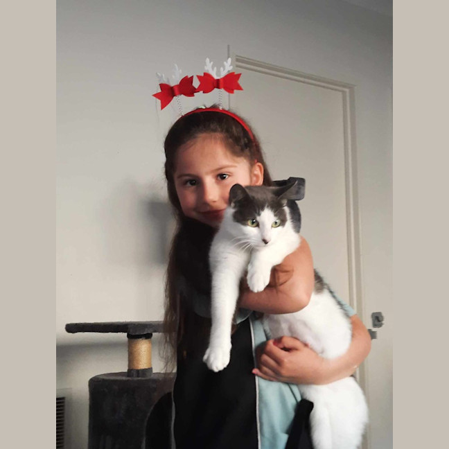 Photo of Snickers