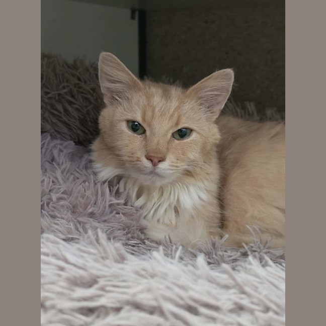 Photo of Teddy