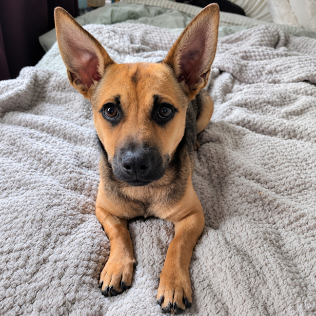 Photo of Lexi