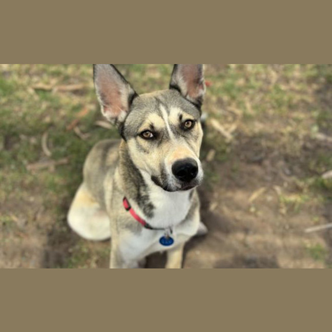 Photo of Lily