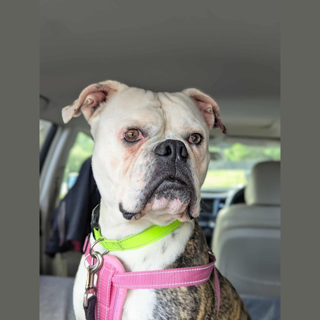 Photo of Bettina
