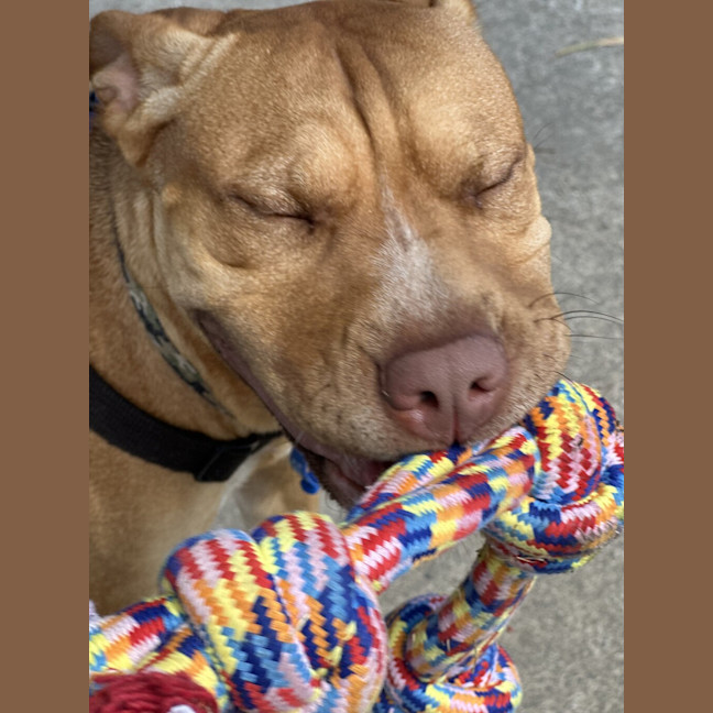 Photo of Ember