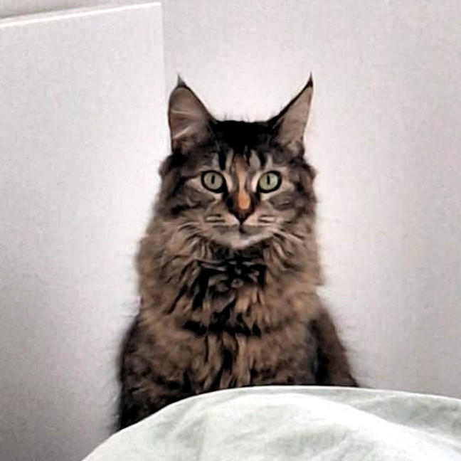 Photo of Celia Sta013621