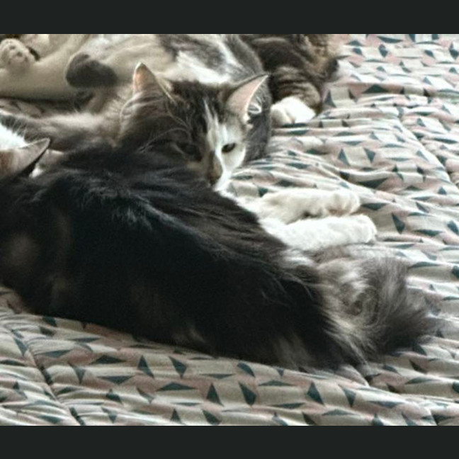 Photo of Candlestick