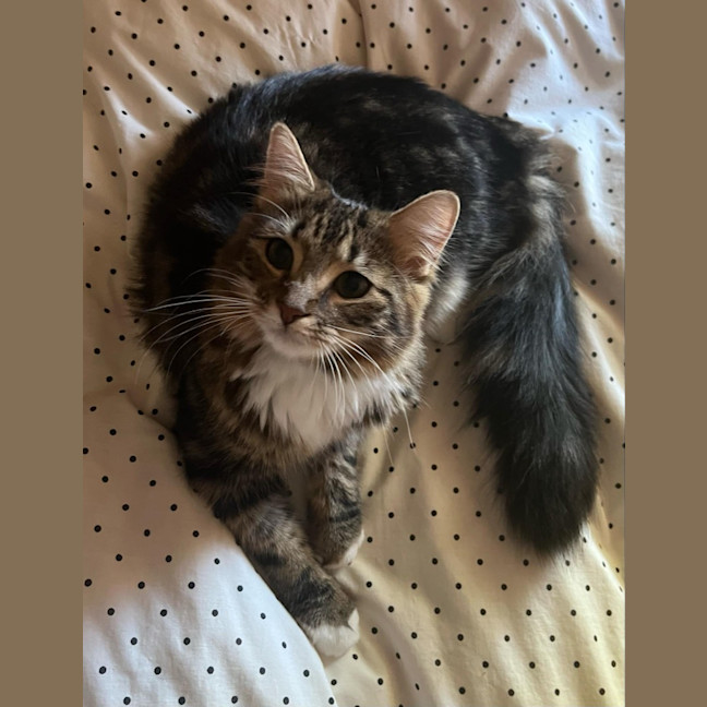 Photo of Lily
