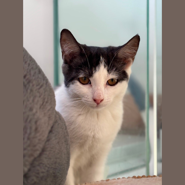 Photo of 👣 Apprentice 👣