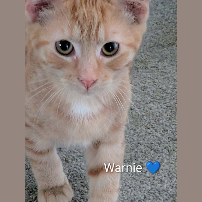 Photo of Warnie Meet Me@Petstock Keysborough Store