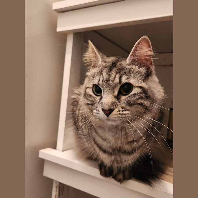 Photo of Sylvia