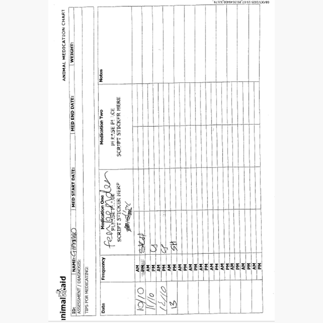 Photo of Gimmo Doolan