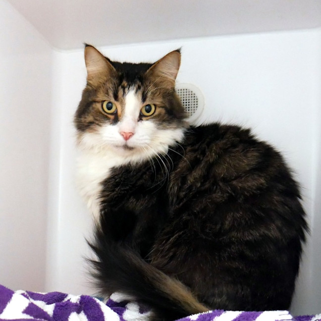 Photo of Milo Sta013928