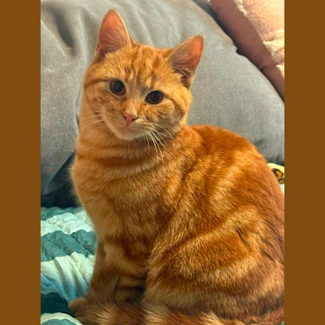 Photo of Joey