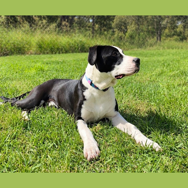 Photo of Shylah
