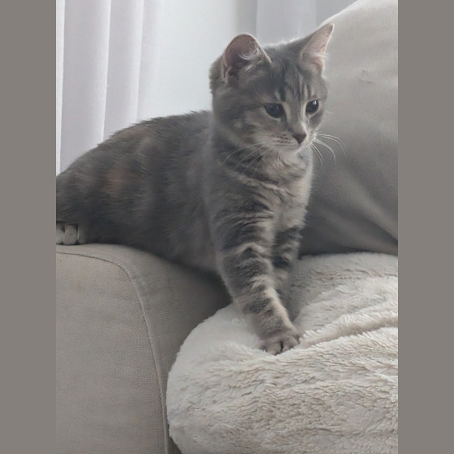 Photo of Smokin 🔥