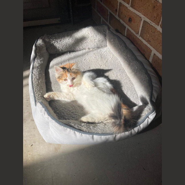 Photo of Molly