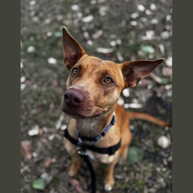 Photo of Bonny
