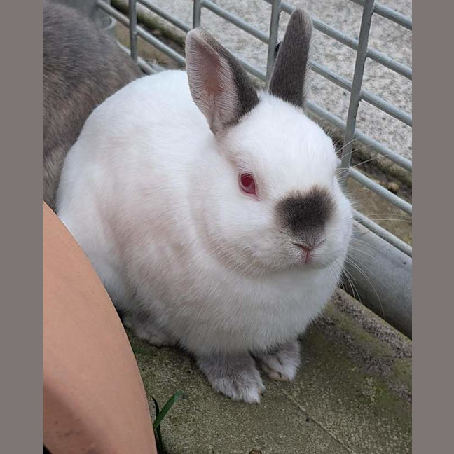 Photo of Casper