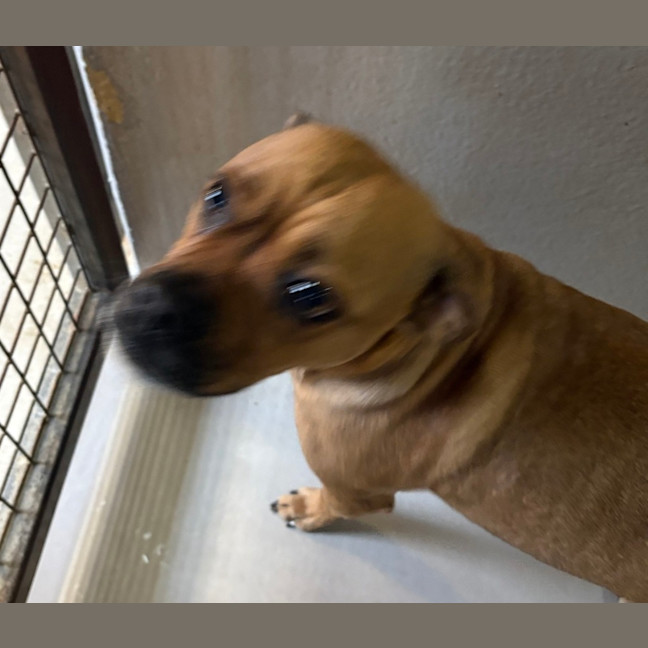 Photo of Mabel