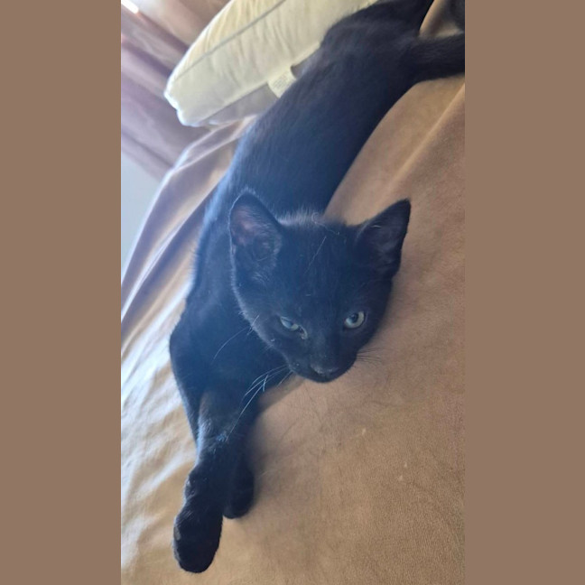 Photo of Pickle Patterson