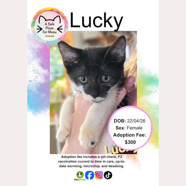 Photo of Lucky