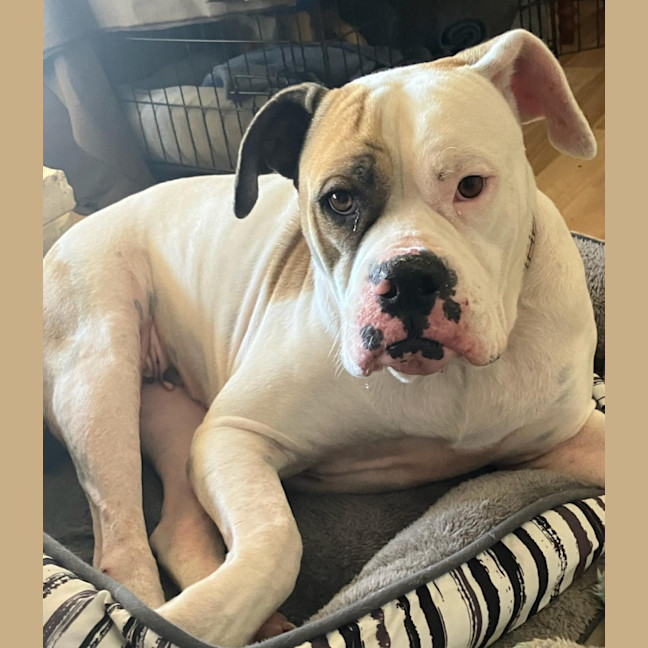 Photo of Annie