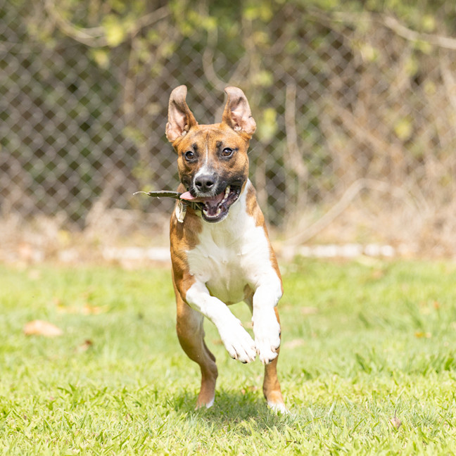 Photo of Buster