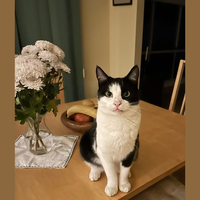 Photo of Mimi