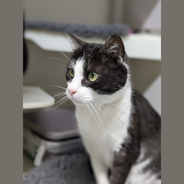 Photo of 🐦 Carlo 5437 🐦