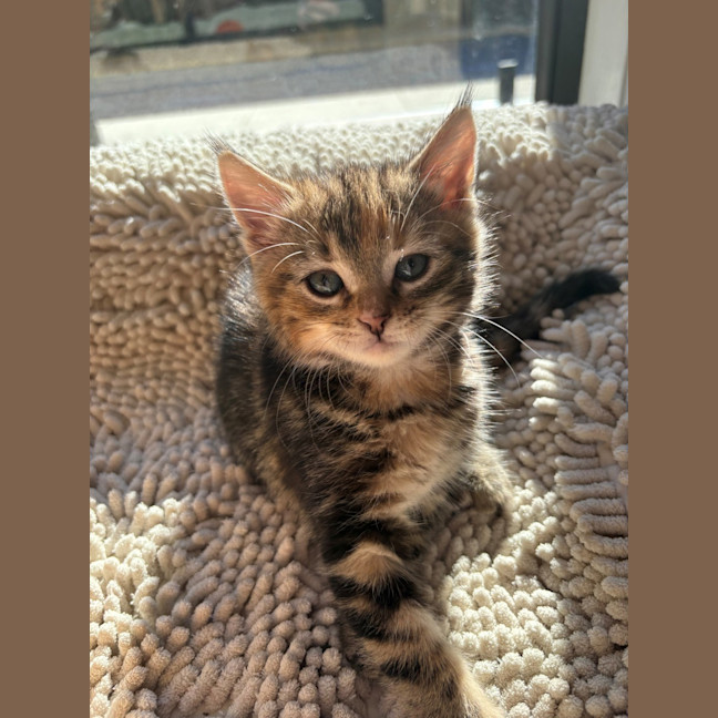 Photo of Dottie